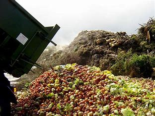 Agri waste to wealth
