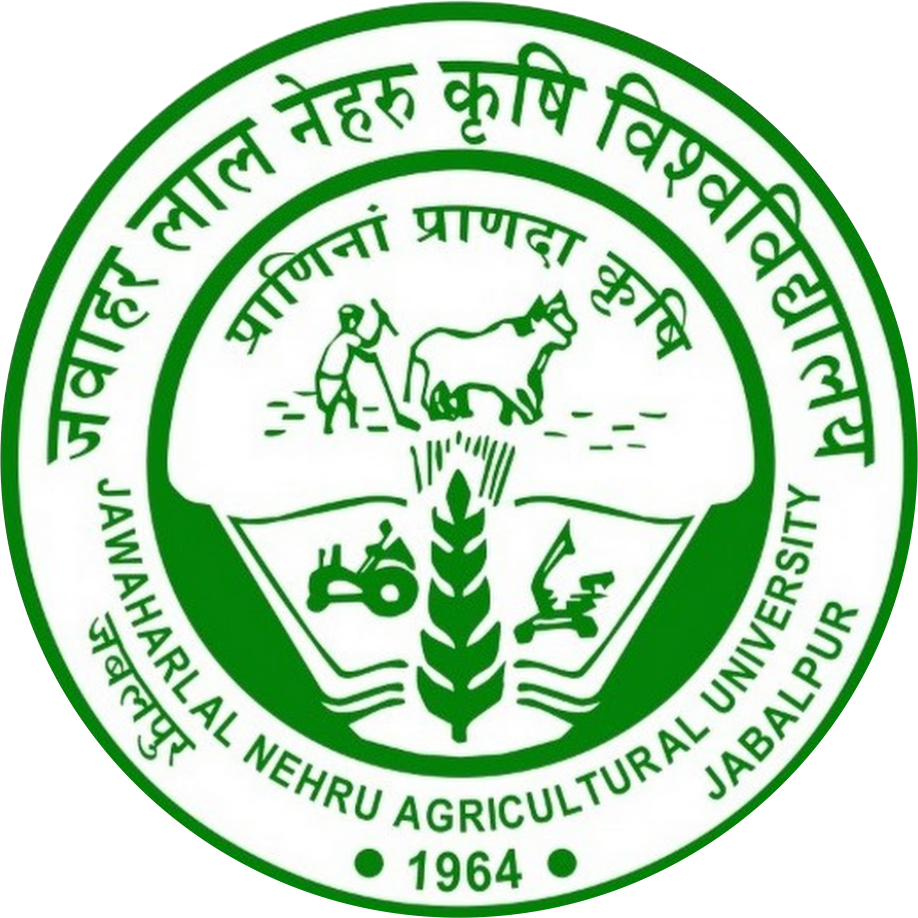 Jnkvv Logo