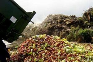 agri waste to wealth