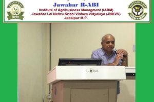jnkvv2-1-300x200